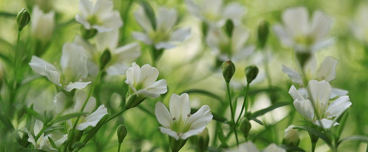 尝试接受一个人的句子(汇总60句),第1张