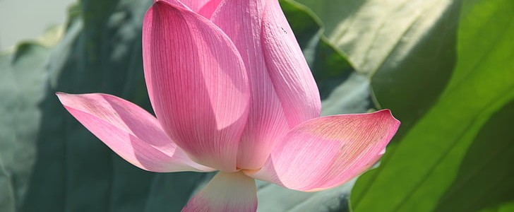 认钱不认人的精典句子(50句),第1张