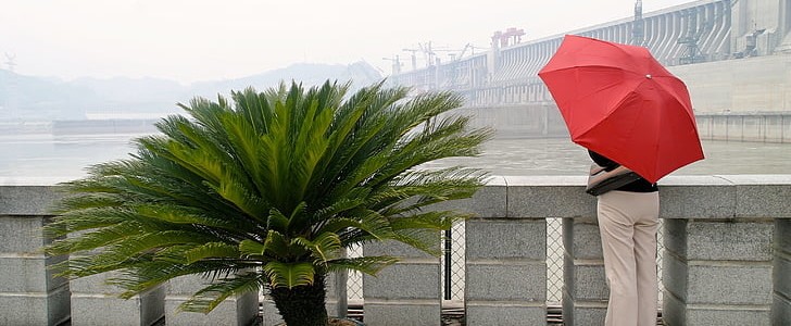 远离垃圾食品的句子(必备50句),第1张