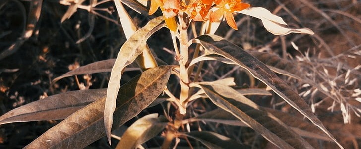 用图说怎么造句子,第1张 用图说怎么造句子,第1张