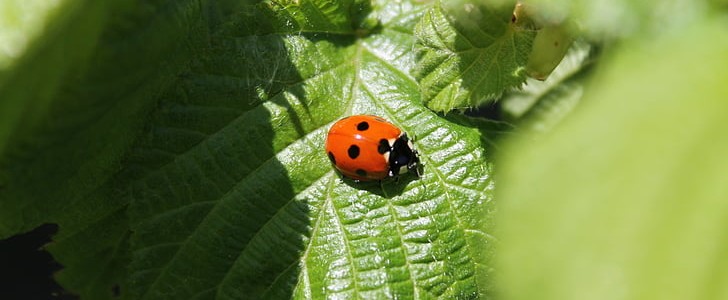用蔬果怎么造句子,第1张 用蔬果怎么造句子,第1张