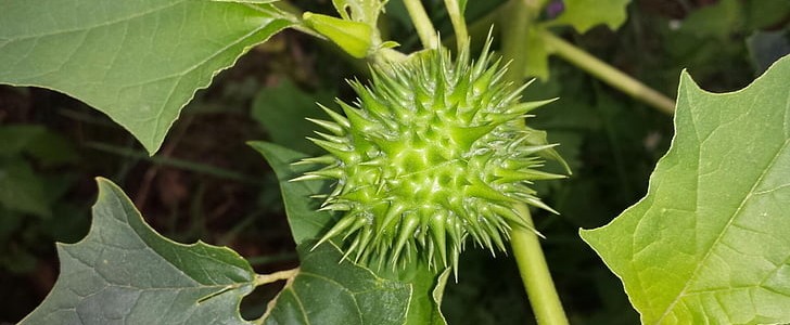 挤不进的世界伤感句子(精选20句),第1张