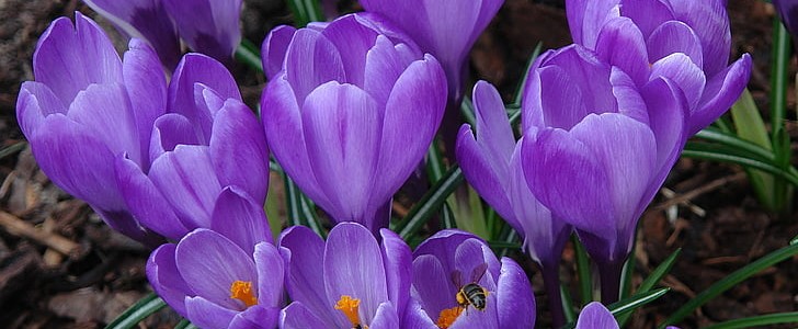 近义词的四字词语(汇总70句),第1张