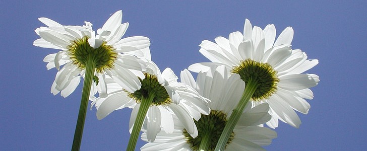 经典词语大全4字心情(优选50句),第1张