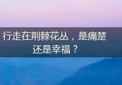 行走在荆棘花丛，是痛楚还是幸福？