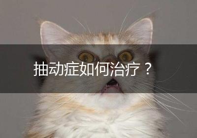 抽动症如何治疗？