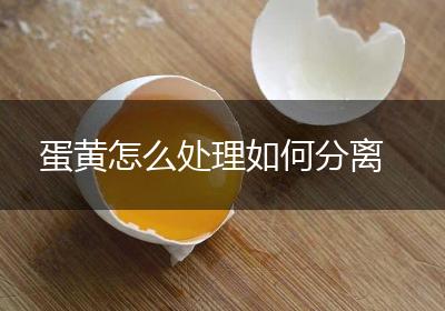 蛋黄怎么处理如何分离
