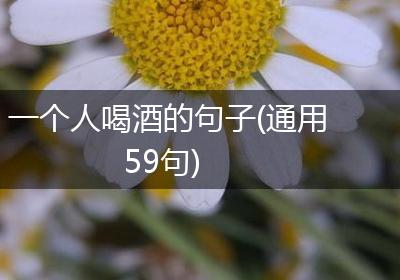 一个人喝酒的句子(通用59句)