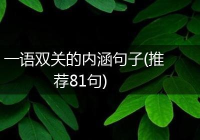 一语双关的内涵句子(推荐81句)