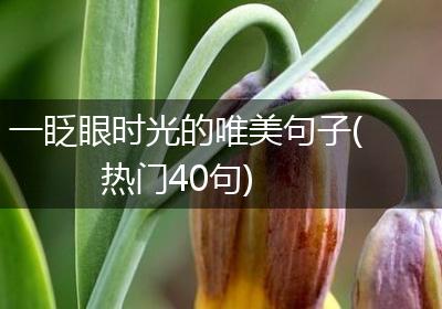 一眨眼时光的唯美句子(热门40句)
