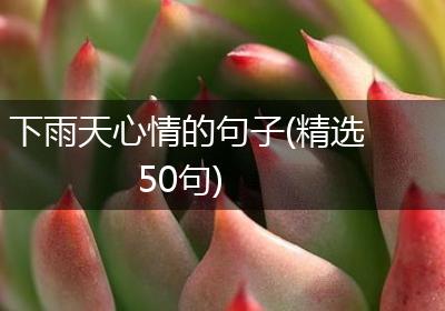 下雨天心情的句子(精选50句)