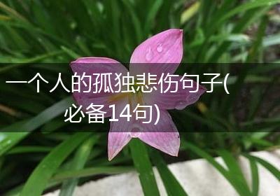 一个人的孤独悲伤句子(必备14句)