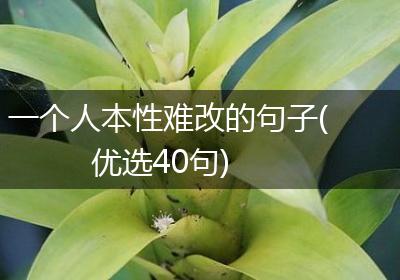 一个人本性难改的句子(优选40句)