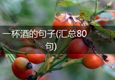 一杯酒的句子(汇总80句)