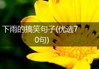 下雨的搞笑句子(优选70句)