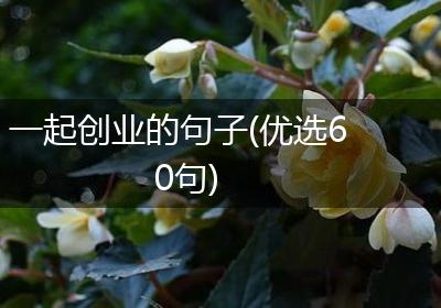一起创业的句子(优选60句)