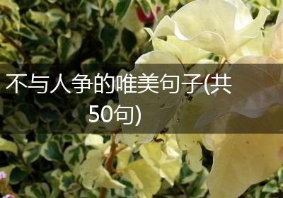 不与人争的唯美句子(共50句)