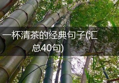 一杯清茶的经典句子(汇总40句)
