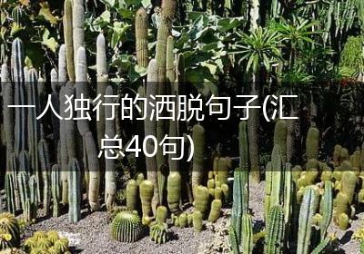 一人独行的洒脱句子(汇总40句)