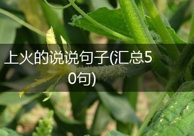 上火的说说句子(汇总50句)