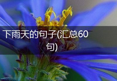 下雨天的句子(汇总60句)