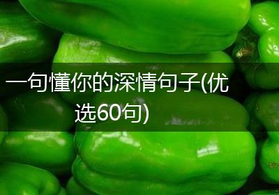 一句懂你的深情句子(优选60句)