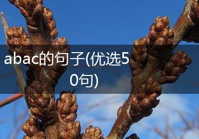 abac的句子(优选50句)