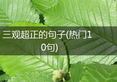 三观超正的句子(热门10句)