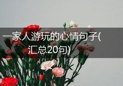 一家人游玩的心情句子(汇总20句)