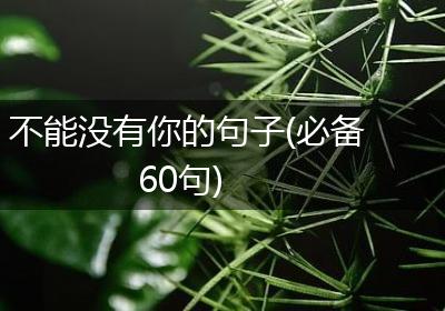 不能没有你的句子(必备60句)