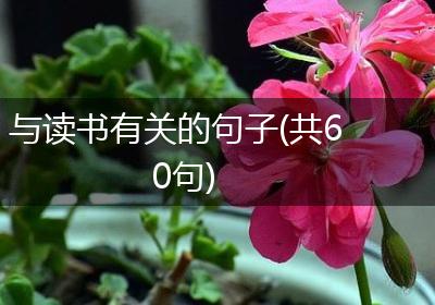 与读书有关的句子(共60句)