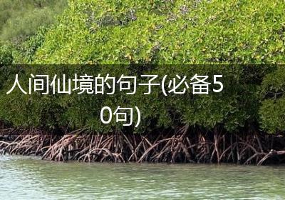 人间仙境的句子(必备50句)