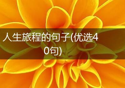 人生旅程的句子(优选40句)