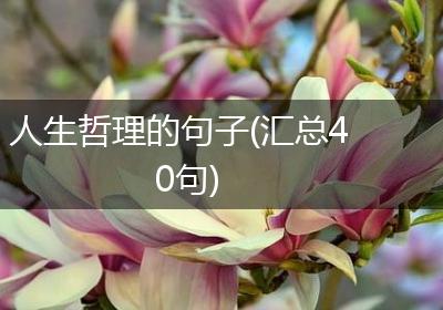 人生哲理的句子(汇总40句)
