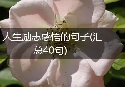 人生励志感悟的句子(汇总40句)