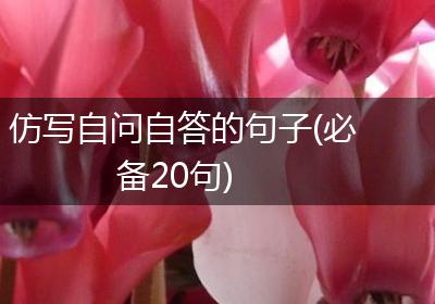 仿写自问自答的句子(必备20句)