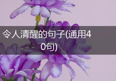 令人清醒的句子(通用40句)