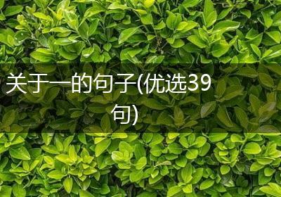 关于一的句子(优选39句)