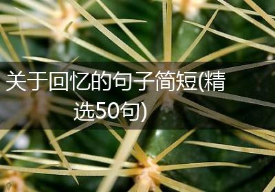 关于回忆的句子简短(精选50句)