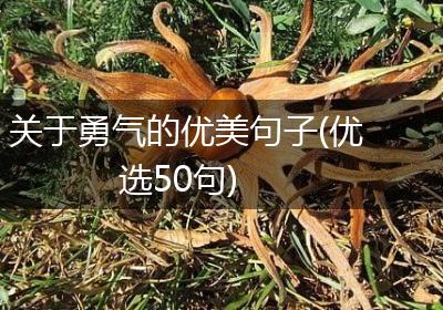 关于勇气的优美句子(优选50句)