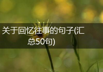 关于回忆往事的句子(汇总50句)
