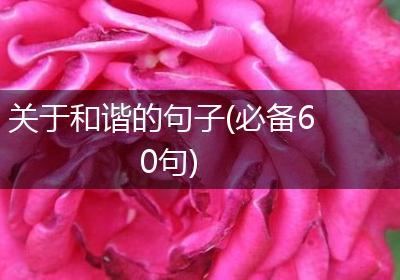 关于和谐的句子(必备60句)
