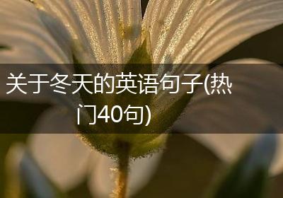 关于冬天的英语句子(热门40句)