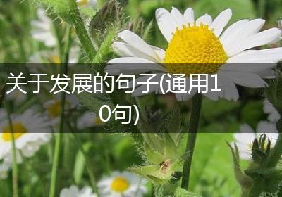 关于发展的句子(通用10句)