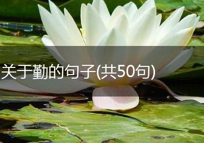 关于勤的句子(共50句)