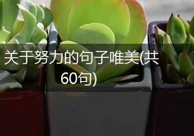 关于努力的句子唯美(共60句)