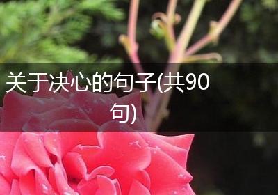 关于决心的句子(共90句)