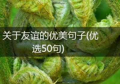 关于友谊的优美句子(优选50句)