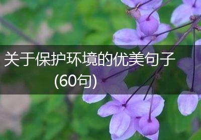 关于保护环境的优美句子(60句)