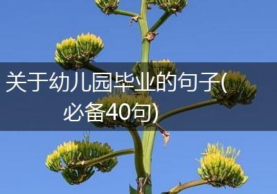 关于幼儿园毕业的句子(必备40句)